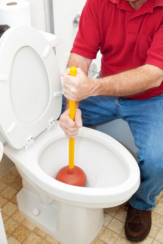 Toilet Plunging detail